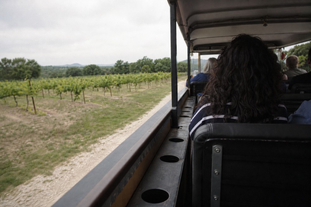 Interior of a chartered open-air tour vehicle with bench seating and cup holders, vineyard visible through the open side