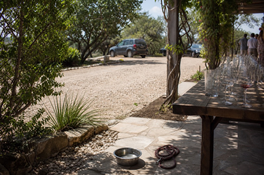 A water bowl and a coiled lead on the flagstones beside an outdoor tasting table under a pergola