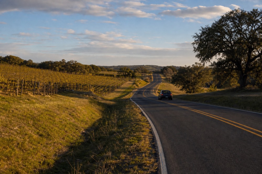 Rural two-lane Texas highway curving between vineyard blocks and live oaks under a wide sky