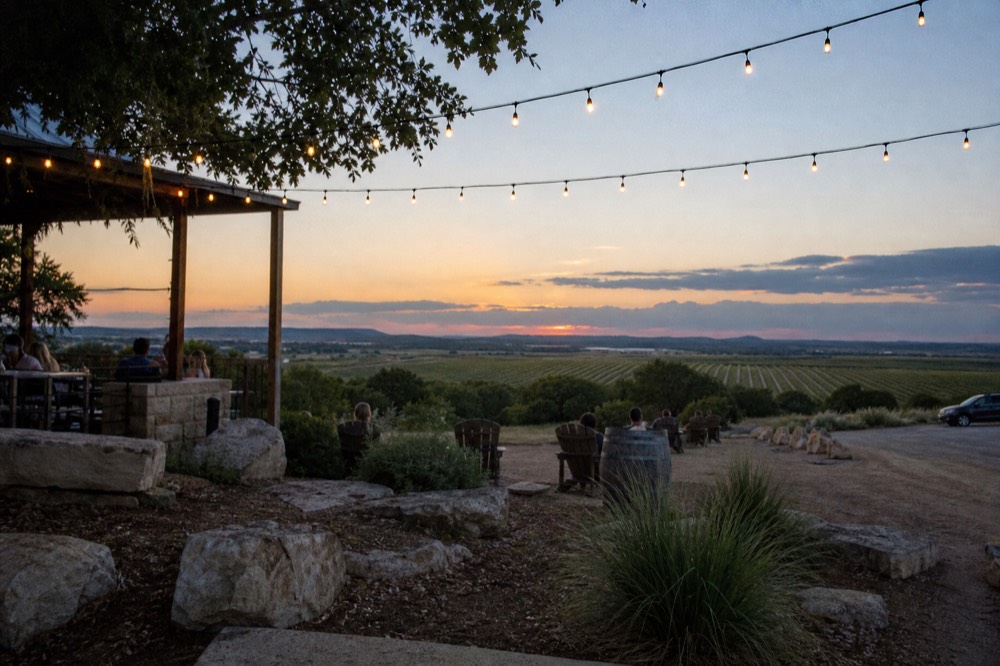 Flat sunlit vineyard rows stretching to a distant horizon under an open plains sky
