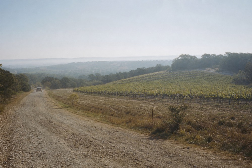 A wide valley of scrub oak and grassland with vineyard blocks planted on a low rise, morning haze in the distance