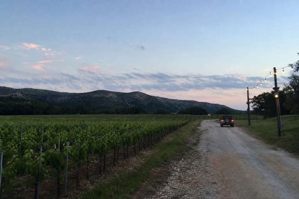 Rows of trellised grapevines running toward low limestone hills under a wide Texas sky, with a gravel track alongside