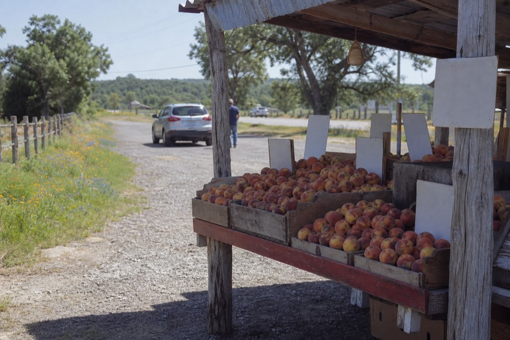 A roadside fruit stand under a corrugated roof piled with crates of ripe peaches, hand-lettered price boards blank and a gravel pull-off in front