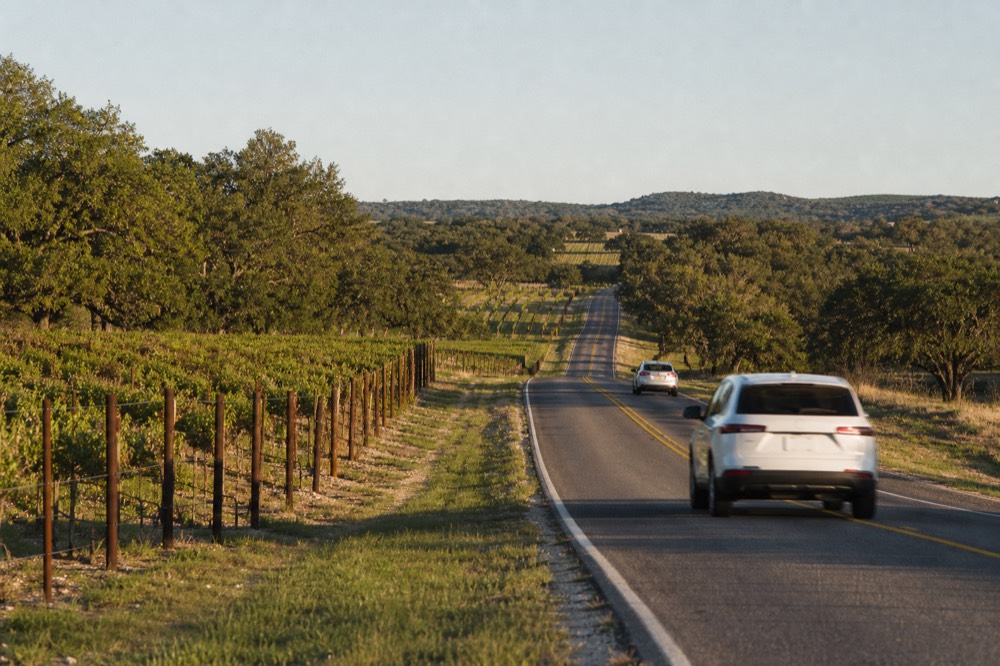Texas state highway sign on a rural two-lane road with vineyard rows and live oaks stretching to the horizon