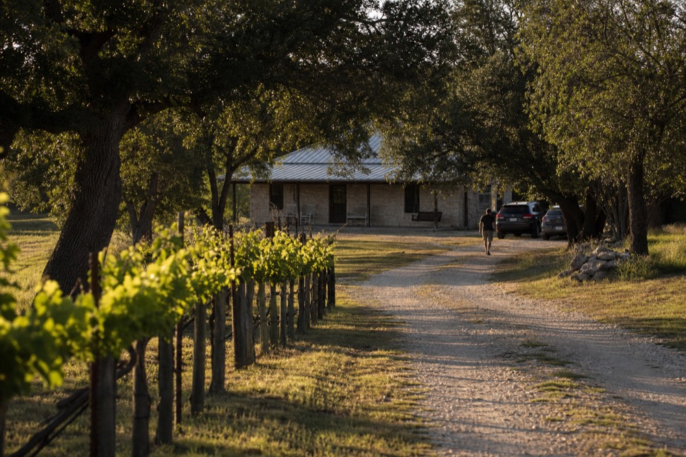 A small stone cottage with a tin roof and a porch swing set among live oaks at the end of a gravel drive
